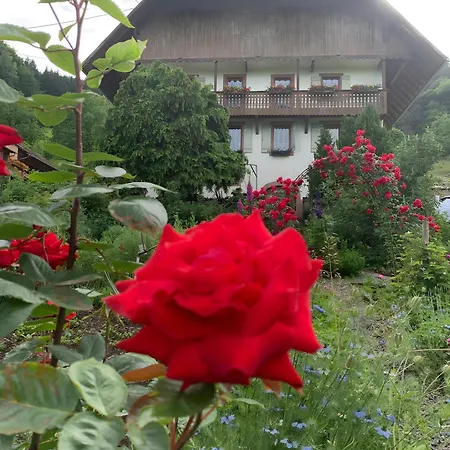 Kempfenhof Appartamento Seelbach (Baden-Wurttemberg)