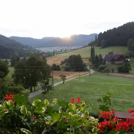 Kempfenhof Appartamento Seelbach (Baden-Wurttemberg)