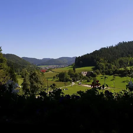 Kempfenhof Appartamento Seelbach (Baden-Wurttemberg)