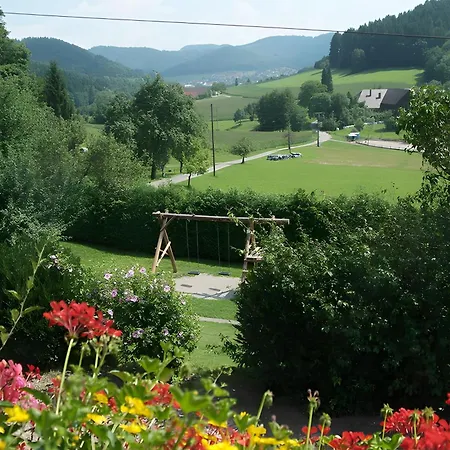 Appartamento Kempfenhof Seelbach (Baden-Wurttemberg)