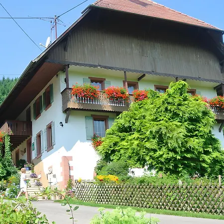 Appartamento Kempfenhof Seelbach (Baden-Wurttemberg)